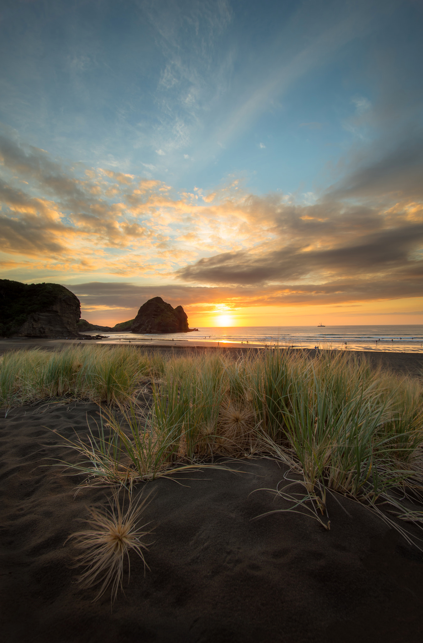 Nikon D600 sample photo. Piha nz photography