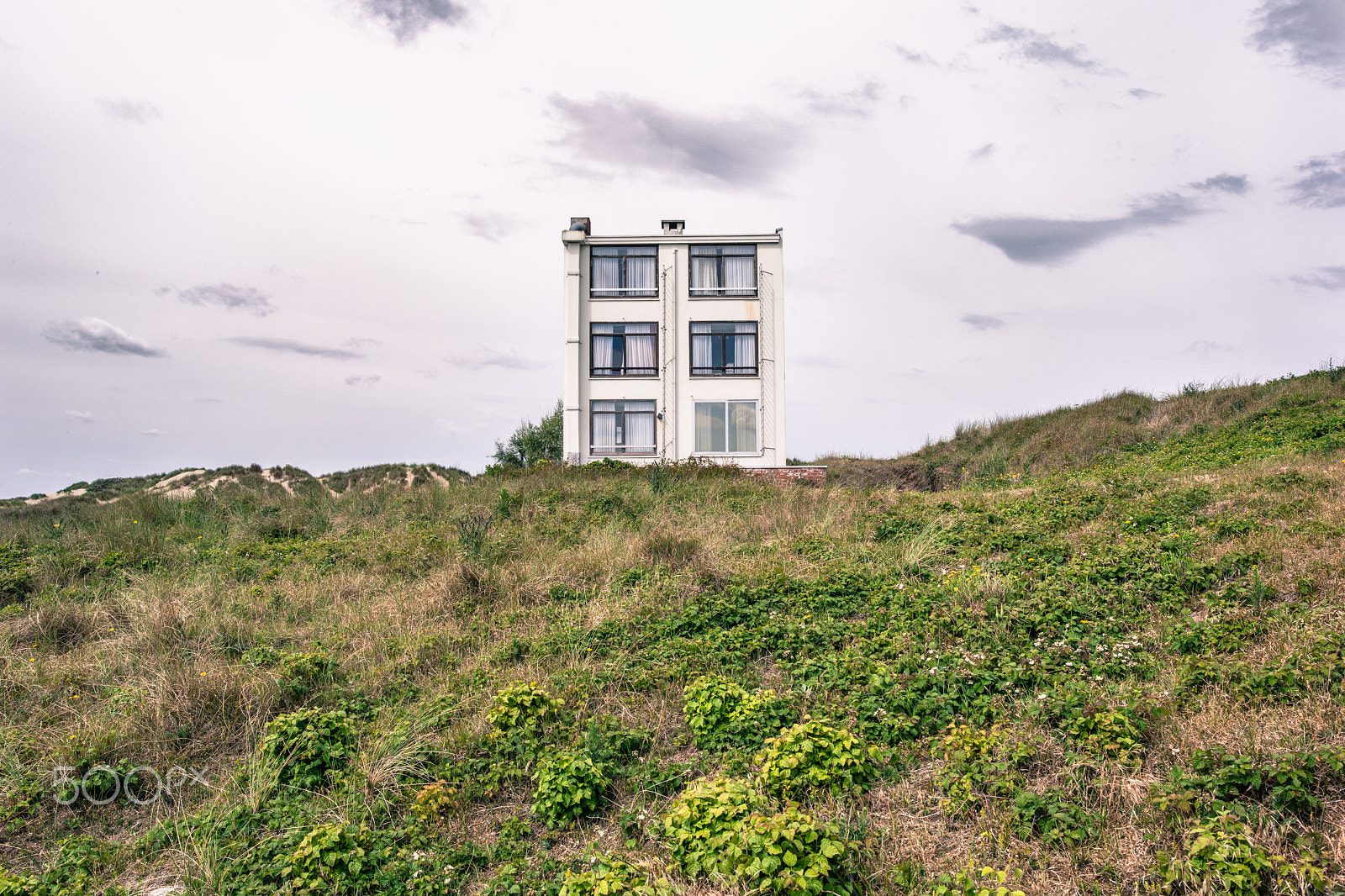 Summarit-S 35 sample photo. Réserve naturelle de la dune du perroquet (bray-dunes, france) photography