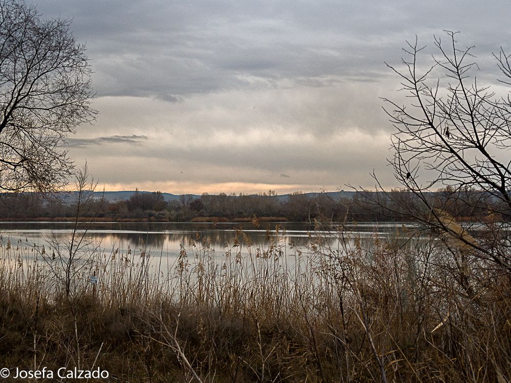 Tamron 14-150mm F3.5-5.8 Di III sample photo. Cea el campillo photography