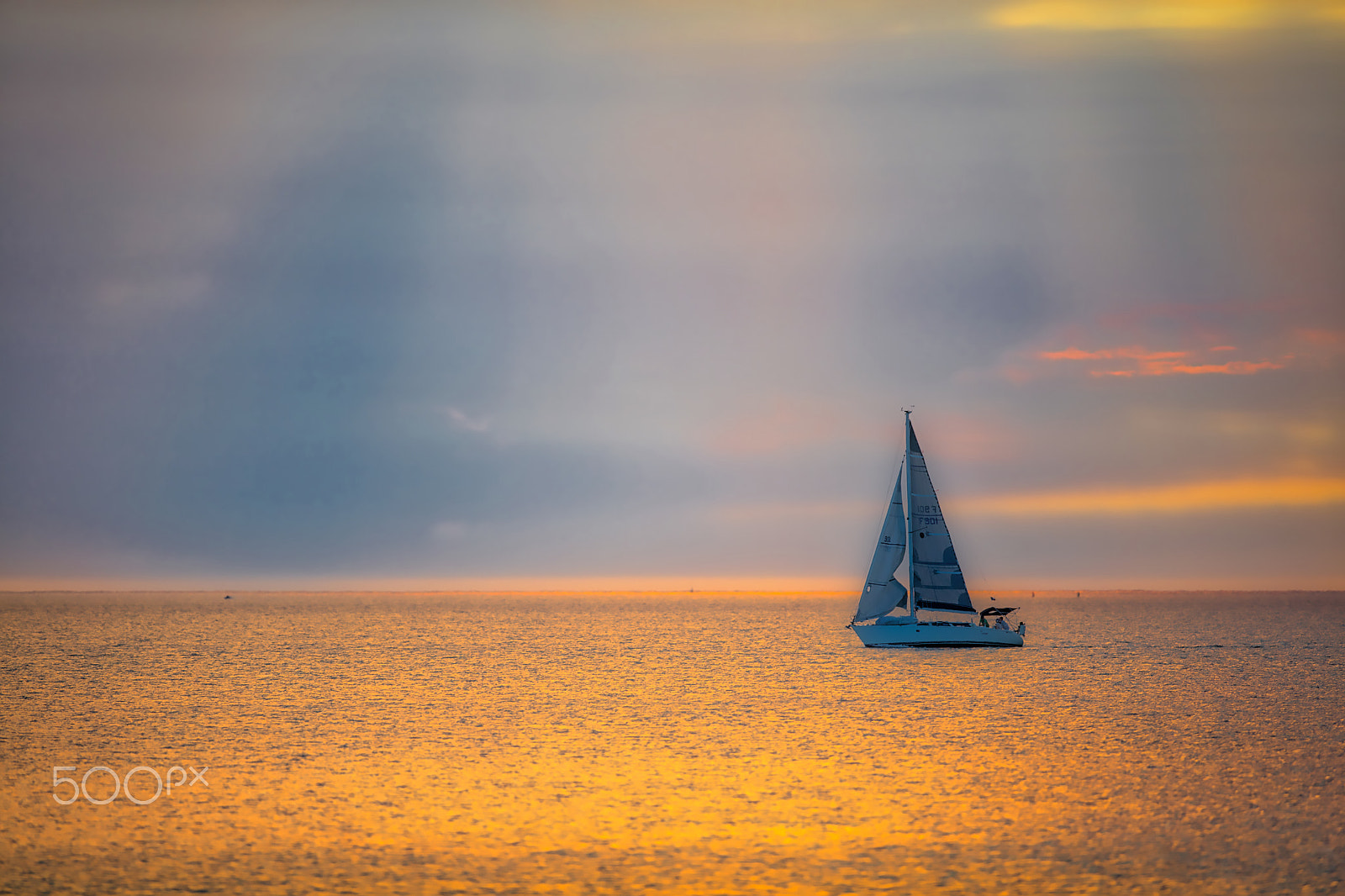 Canon EF 300mm F2.8L IS II USM sample photo. Golden coogee sail photography