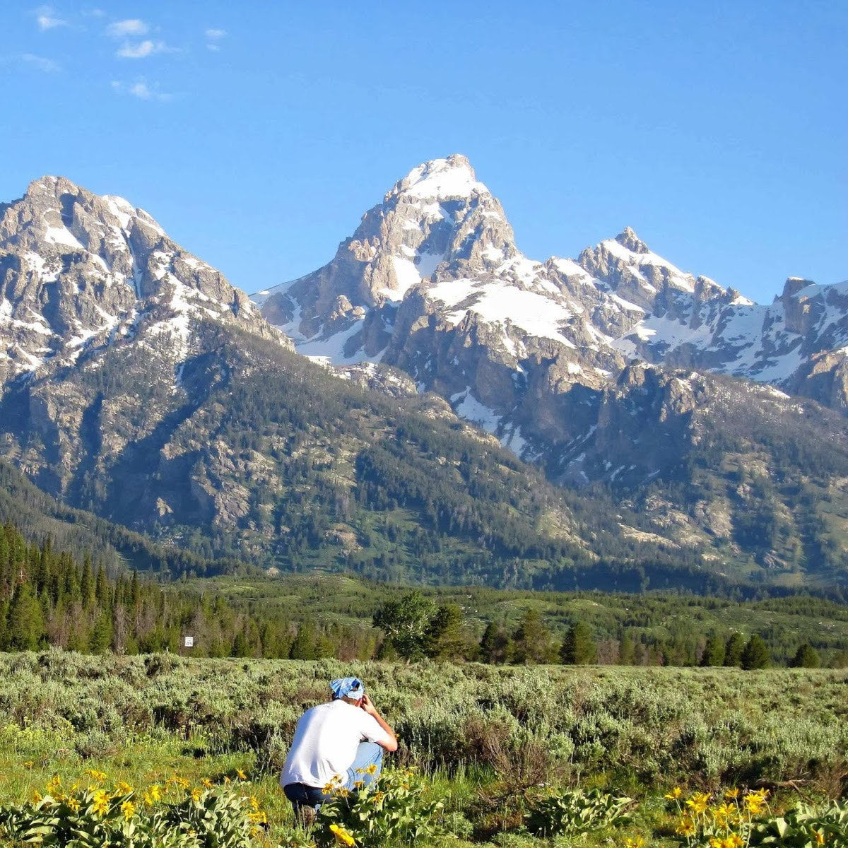 Canon PowerShot SD960 IS (Digital IXUS 110 IS / IXY Digital 510 IS) sample photo. Tetons photography