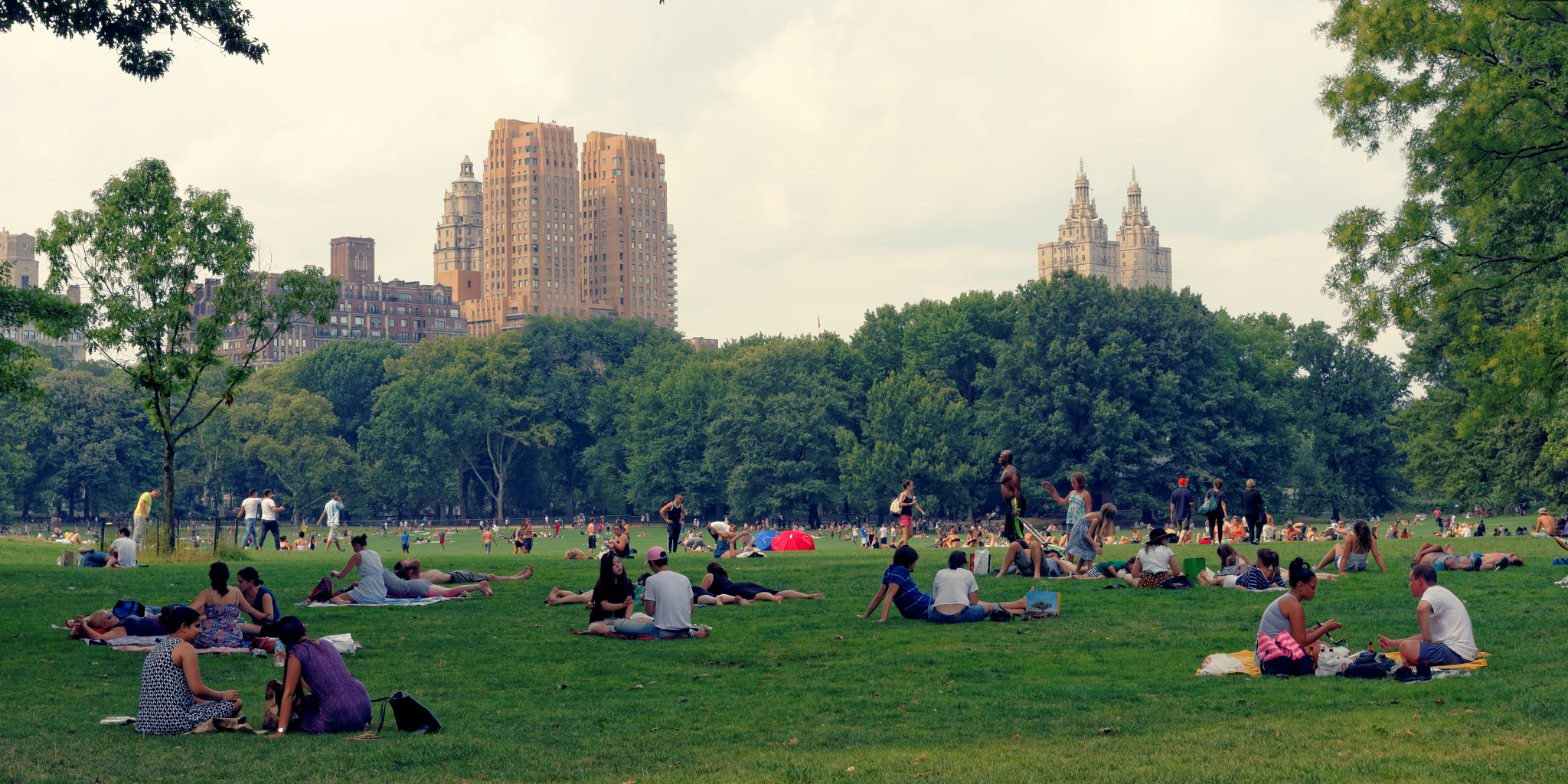 Canon EOS 600D (Rebel EOS T3i / EOS Kiss X5) + Canon EF 35mm F2 sample photo. Central park - new york city photography