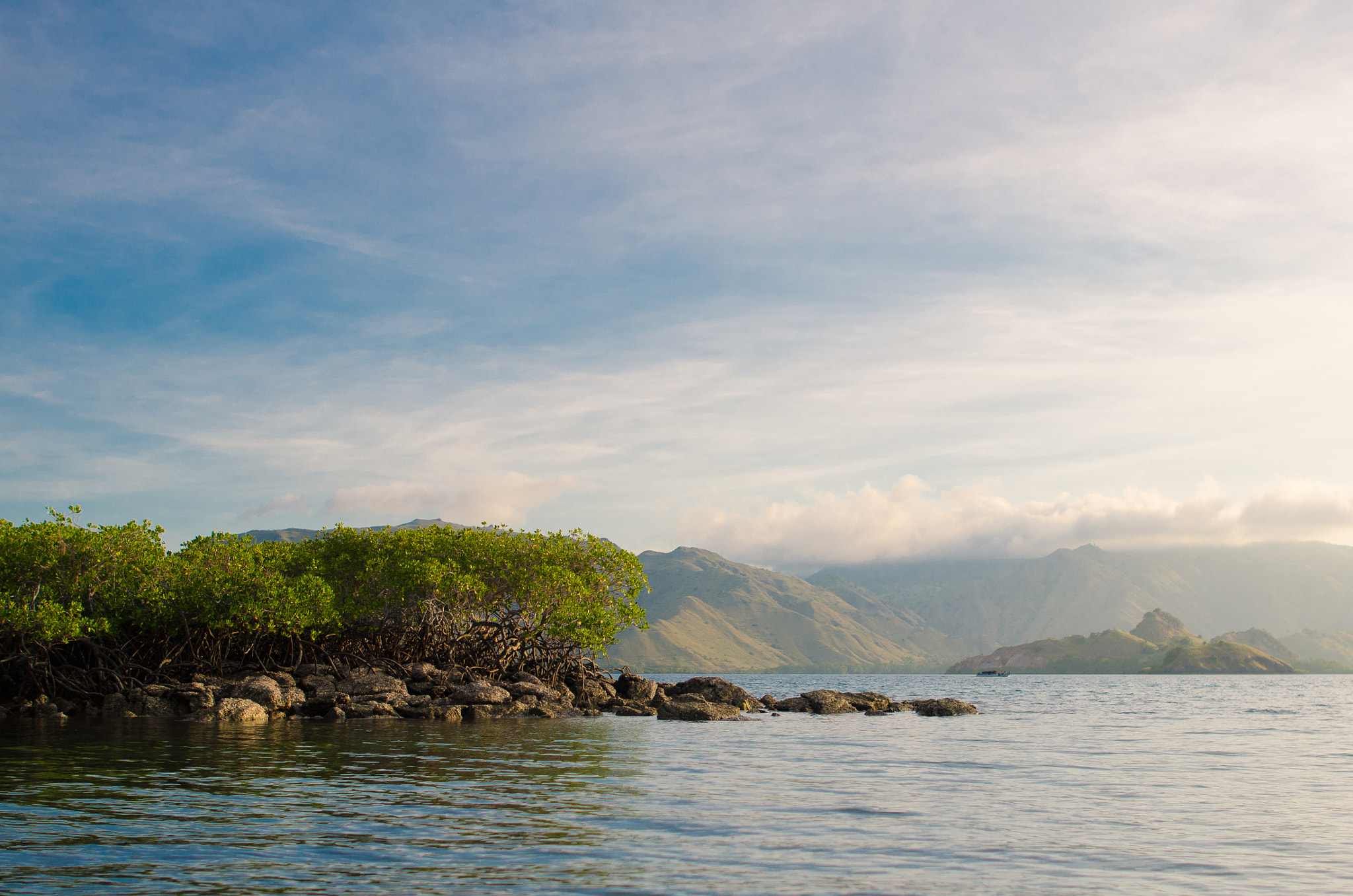 Nikon D7000 + Nikon AF-S Nikkor 24mm F1.4G ED sample photo. Floating forest photography