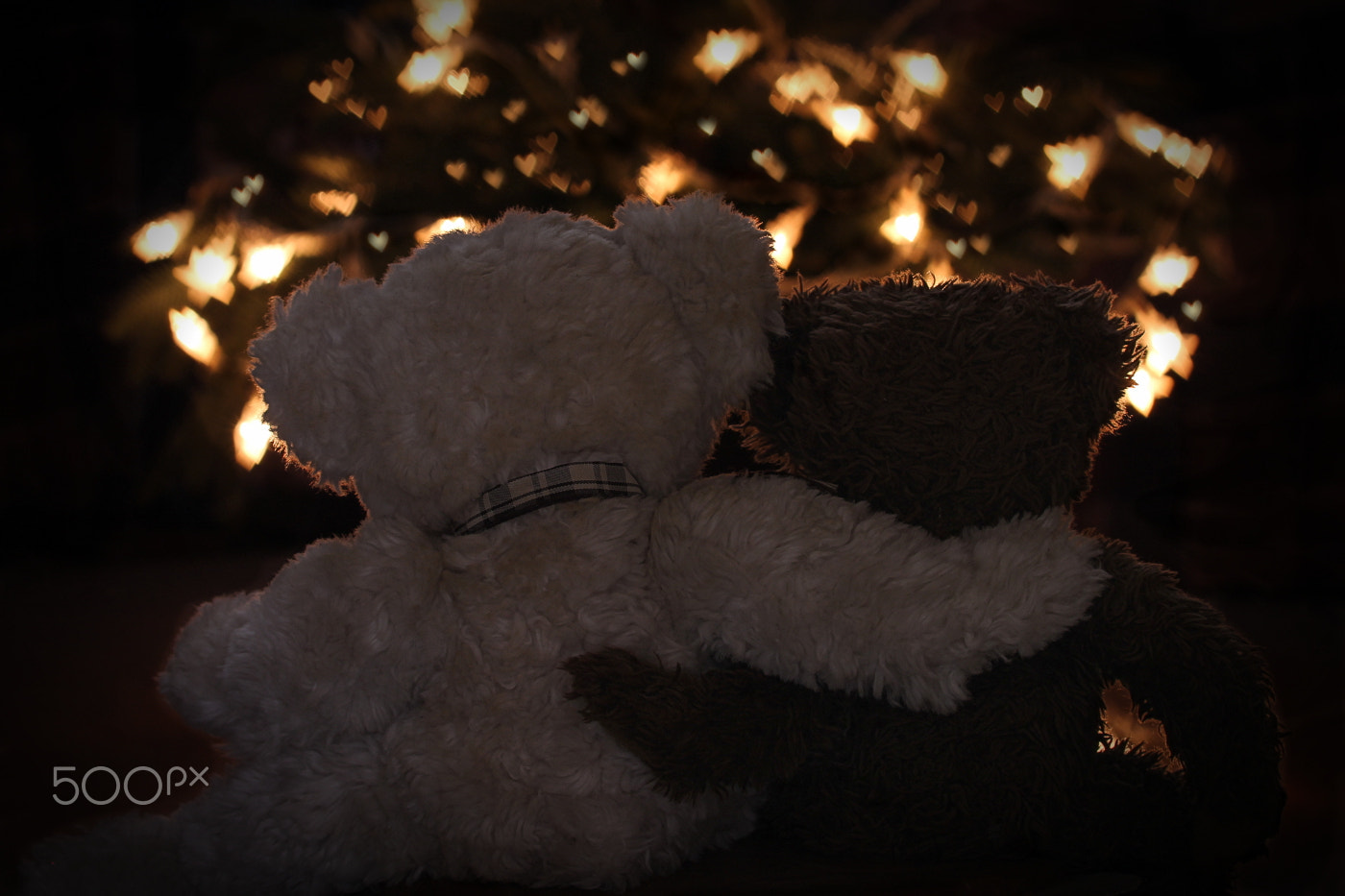 Sigma 105mm F2.8 EX DG OS HSM sample photo. Friendship photography