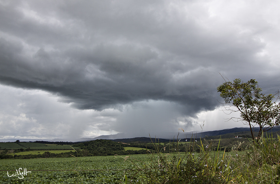 Canon EF-S 10-18mm F4.5–5.6 IS STM sample photo. It's raining again,,,,, photography