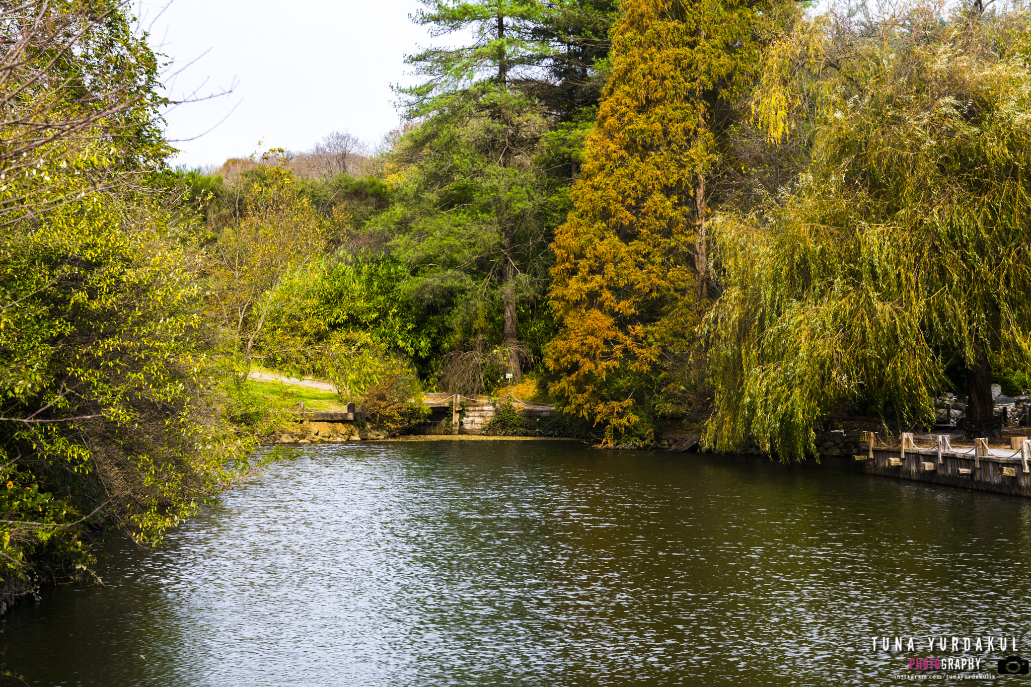 Nikon D7100 + Sigma 18-50mm F2.8 EX DC Macro sample photo. Copy photography