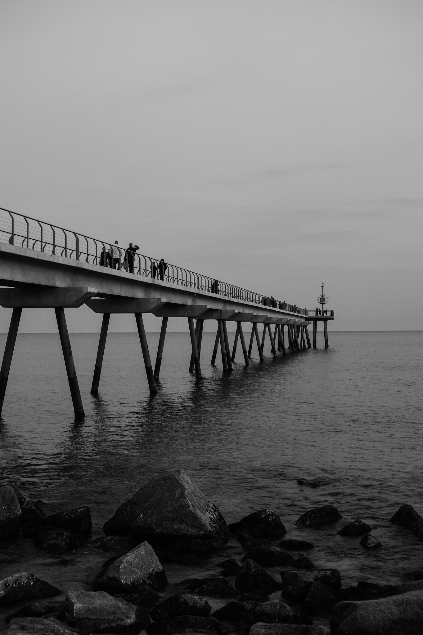 Sony SLT-A58 + Sony DT 35mm F1.8 SAM sample photo. Pont del petroli photography