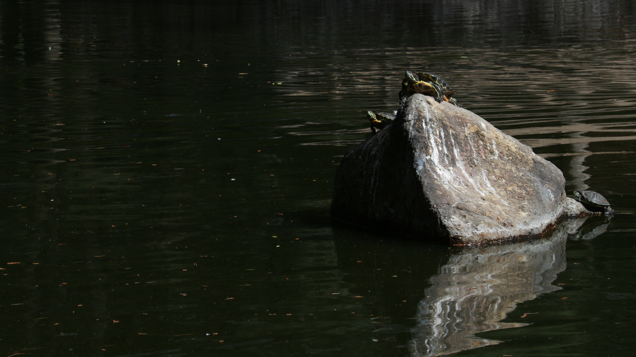 Canon EOS M sample photo. The queen of the lake photography