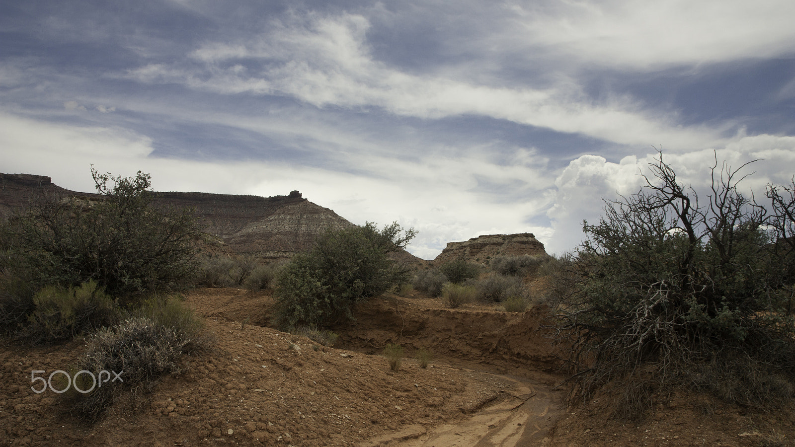 Canon EOS 450D (EOS Rebel XSi / EOS Kiss X2) sample photo. Clouds building over gooseberry mesa utah photography