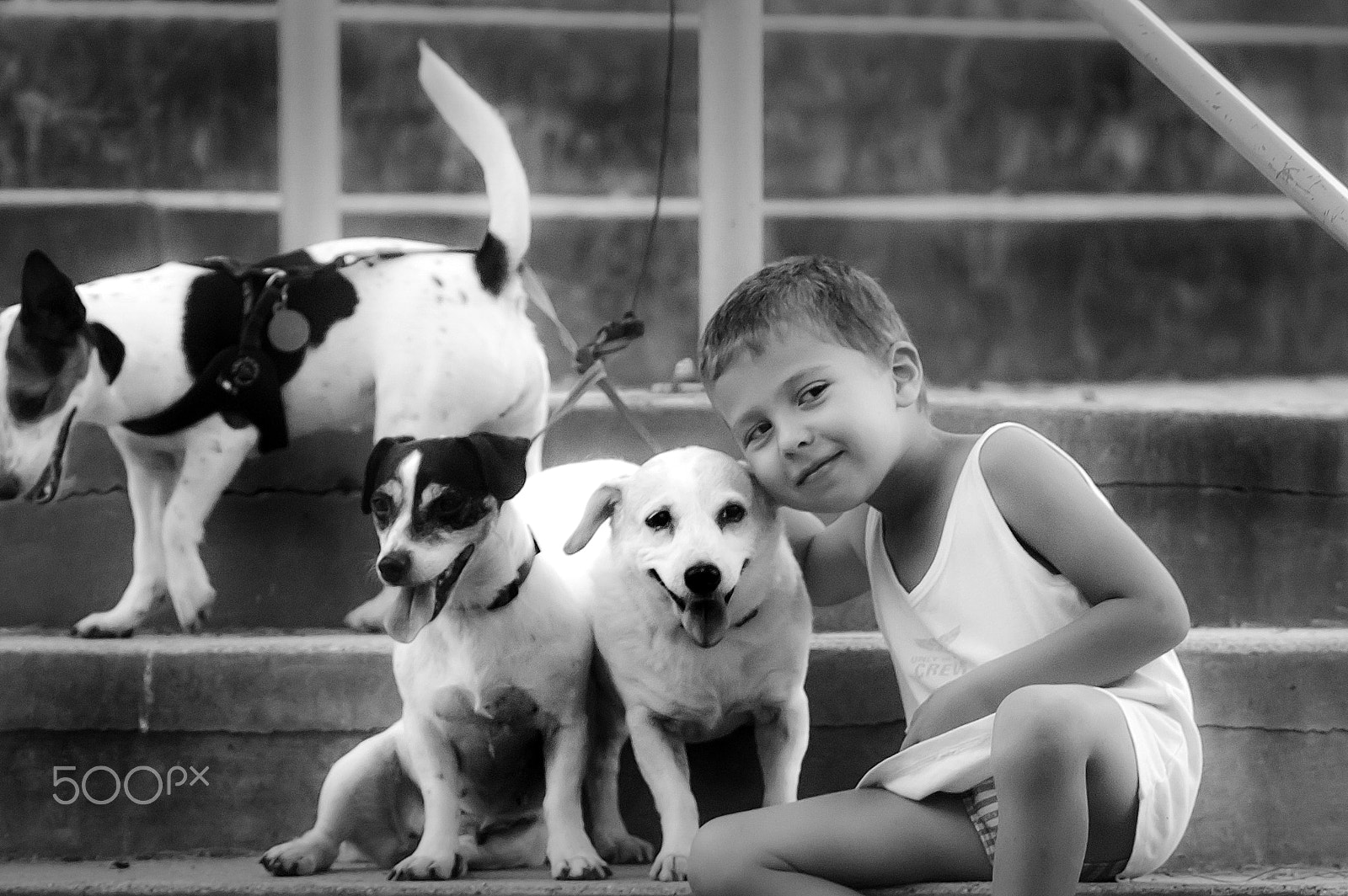Nikon D40 + Sigma APO 400mm F5.6 sample photo. Child and dog photography