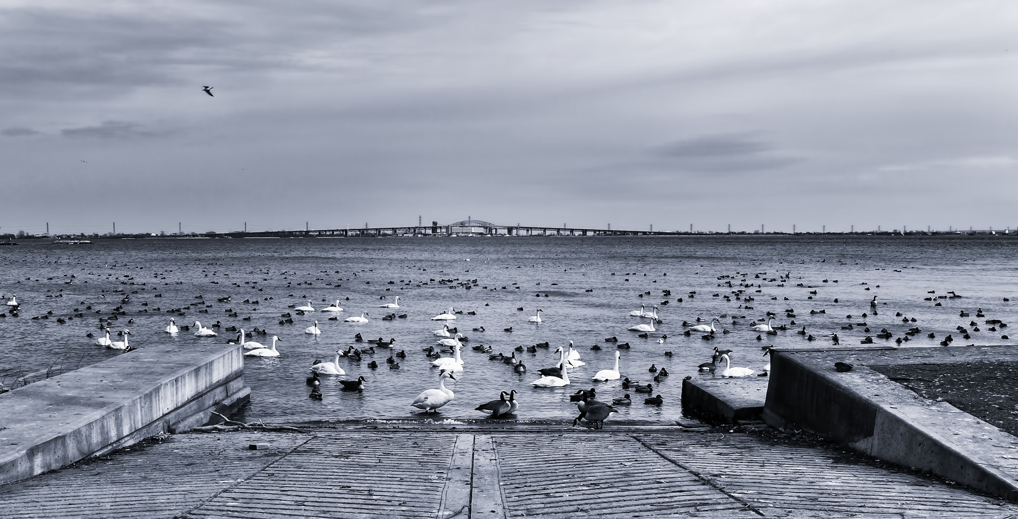 Panasonic Lumix DMC-GX1 sample photo. Le salle park & marina photography