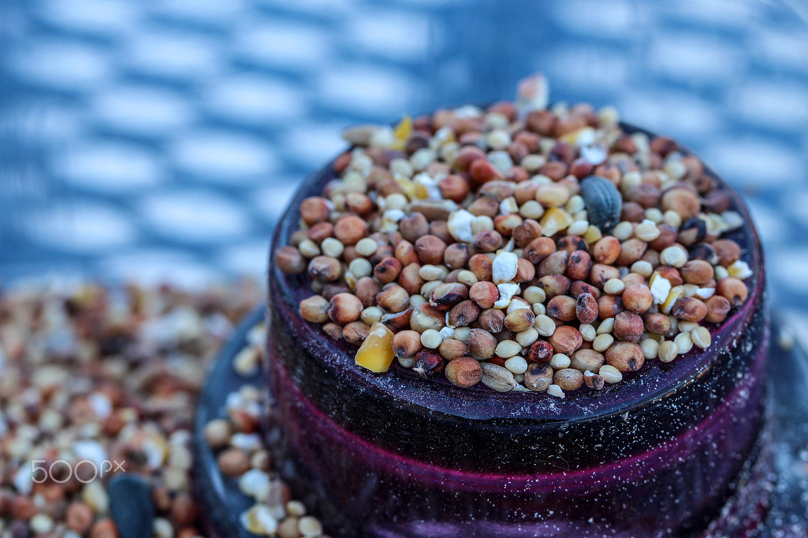 Canon EF 100mm F2.8L Macro IS USM sample photo. Bird seed photography