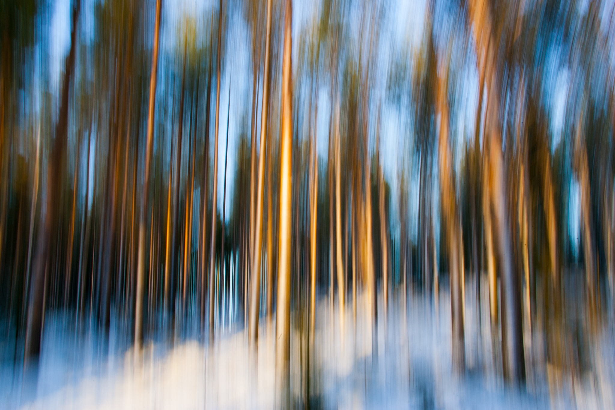Canon EOS-1D Mark II sample photo. Vertical photography