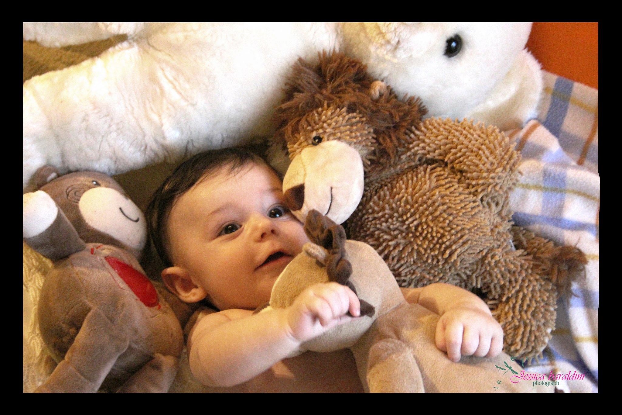 Canon EF-S 18-55mm f/3.5-5.6 USM sample photo. Giocando tra i peluche photography