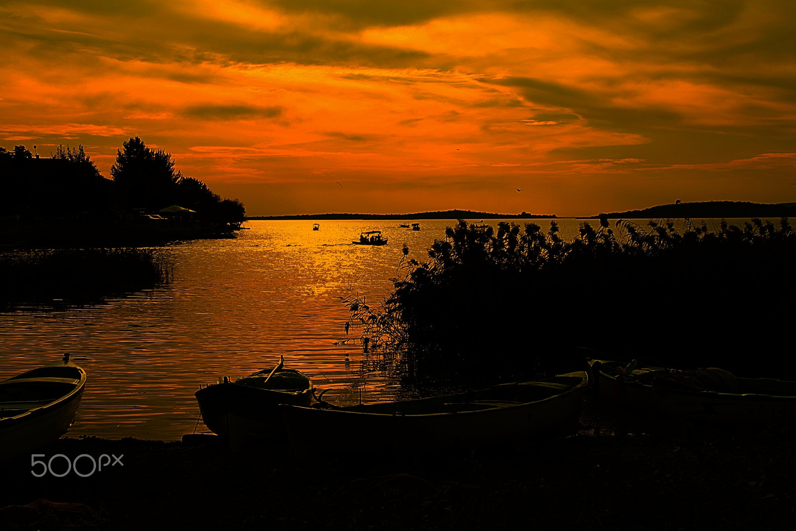 Canon EOS 1000D (EOS Digital Rebel XS / EOS Kiss F) sample photo. Güne veda... photography