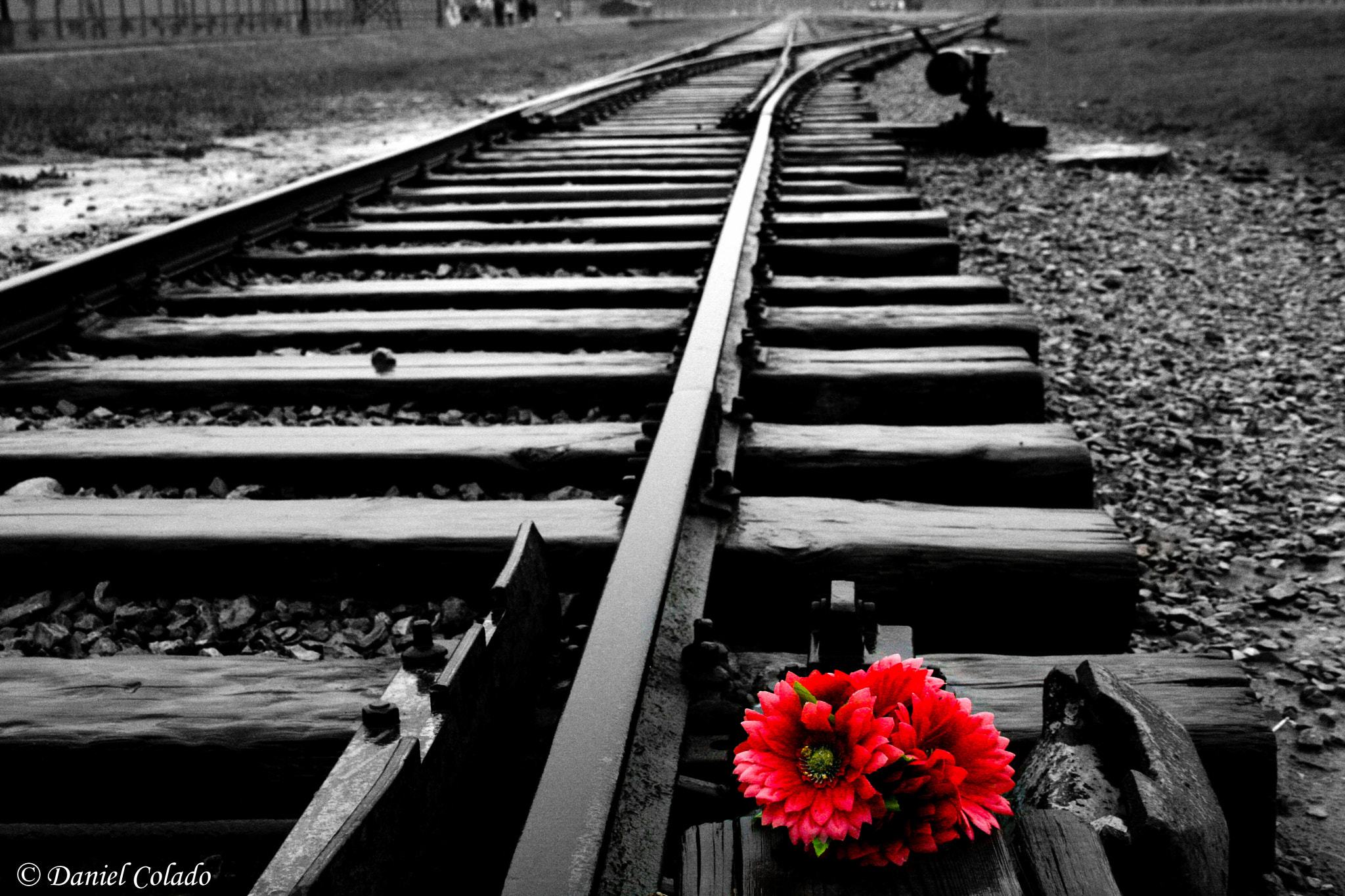 Canon EF-S 18-55mm f/3.5-5.6 USM sample photo. Auschwitz photography