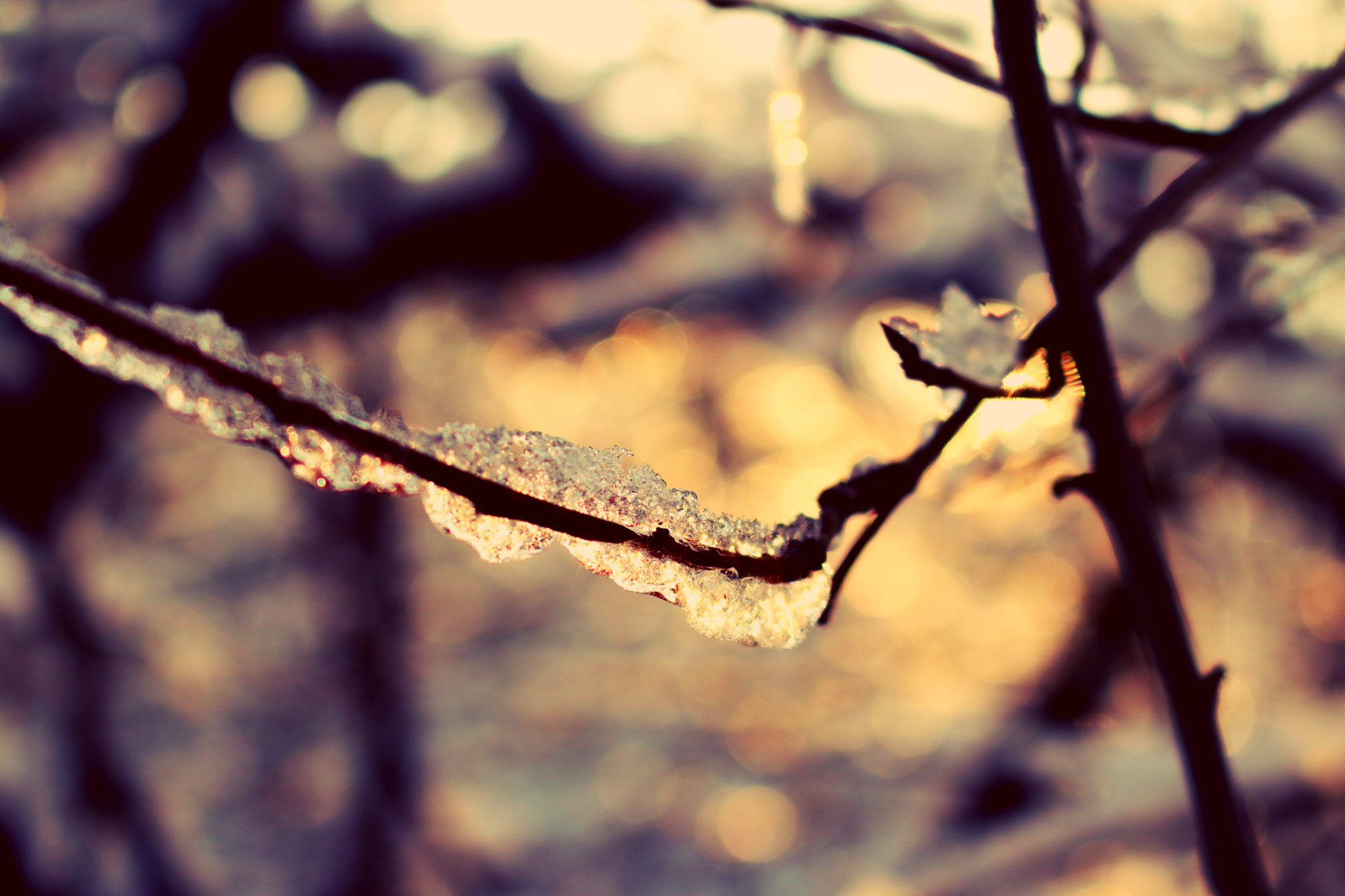f/3.5-5.6 IS STM sample photo. Pixlr photography