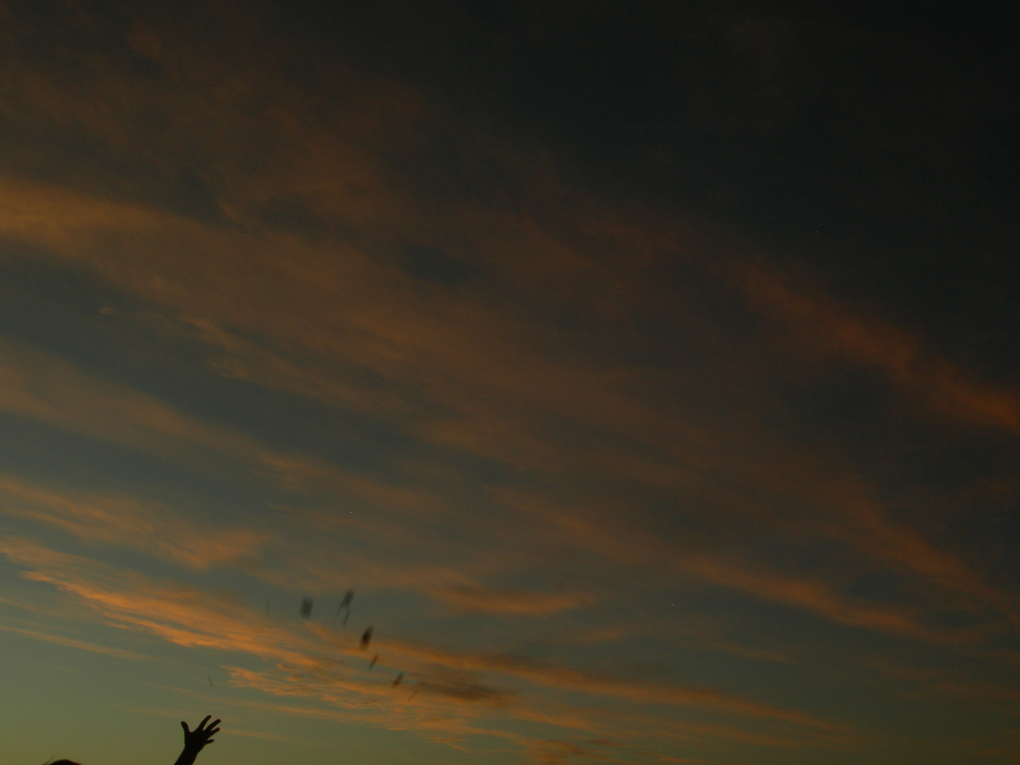 Nikon COOLPIX P1 sample photo. Soltar photography