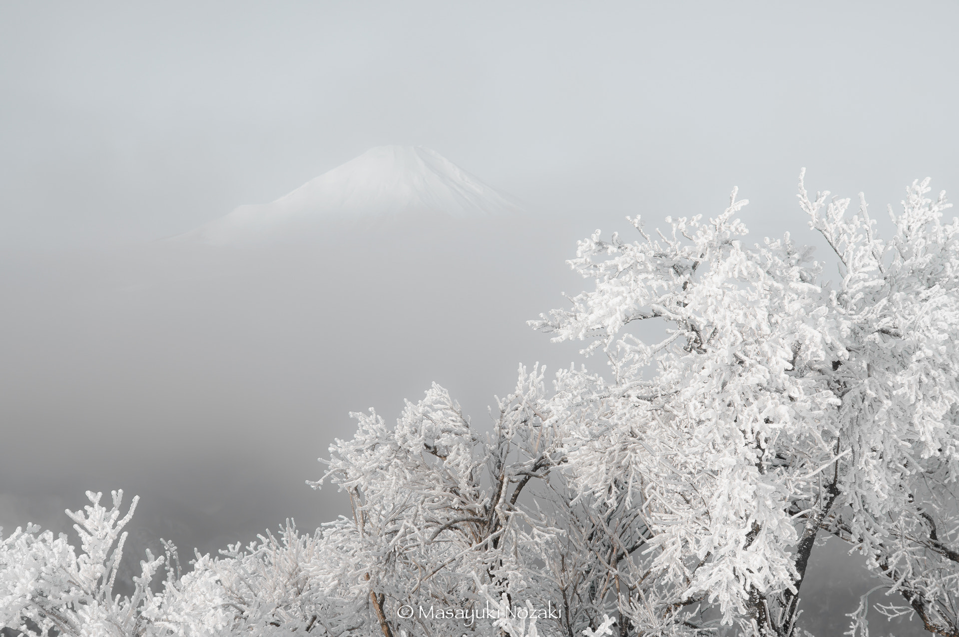 Tamron 18-270mm F3.5-6.3 Di II PZD sample photo. Mt.fuji and freezing trees photography
