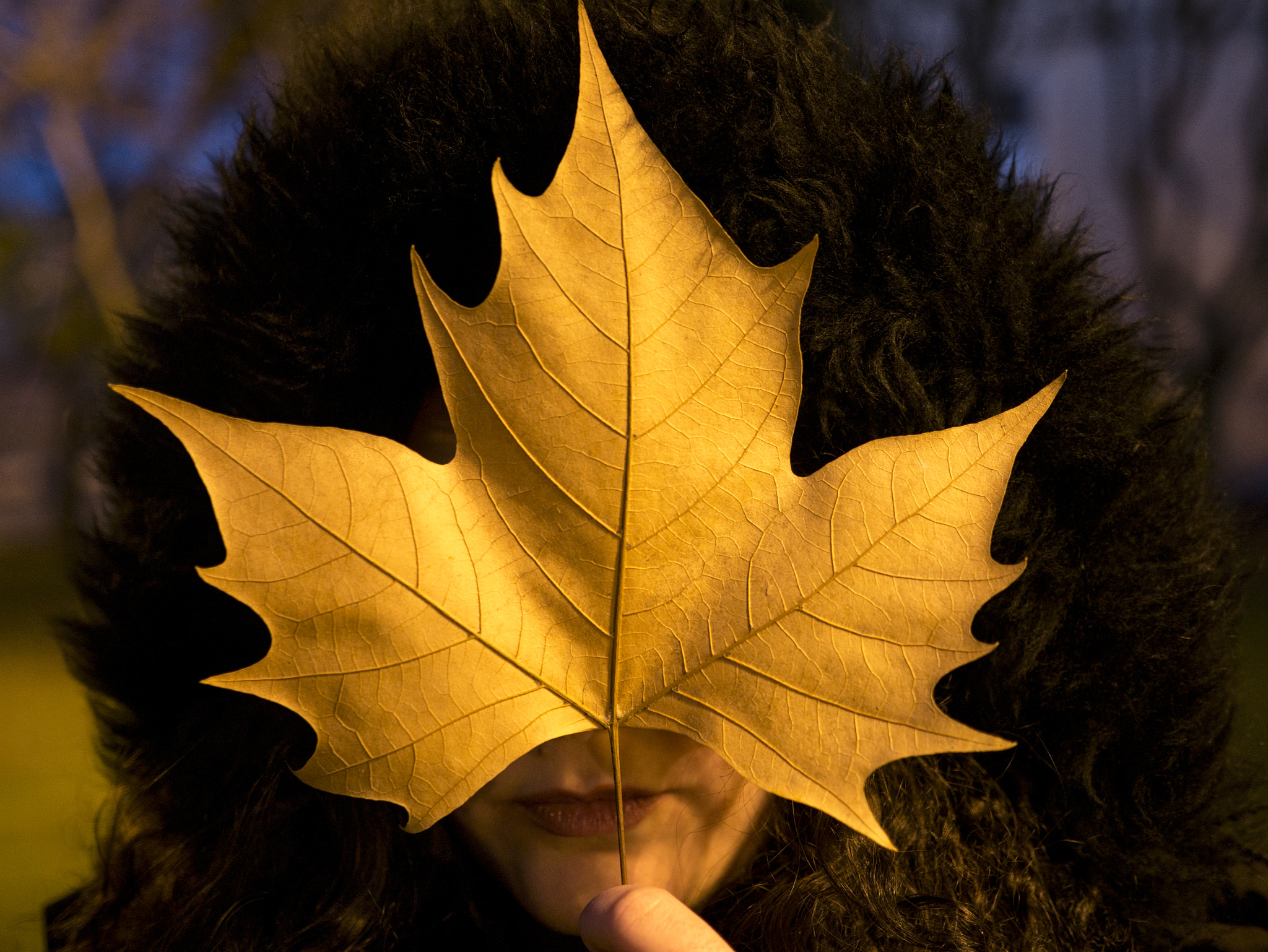 Panasonic Lumix DMC-G7 + Olympus M.Zuiko Digital 25mm F1.8 sample photo. The girl behind the big leaf photography