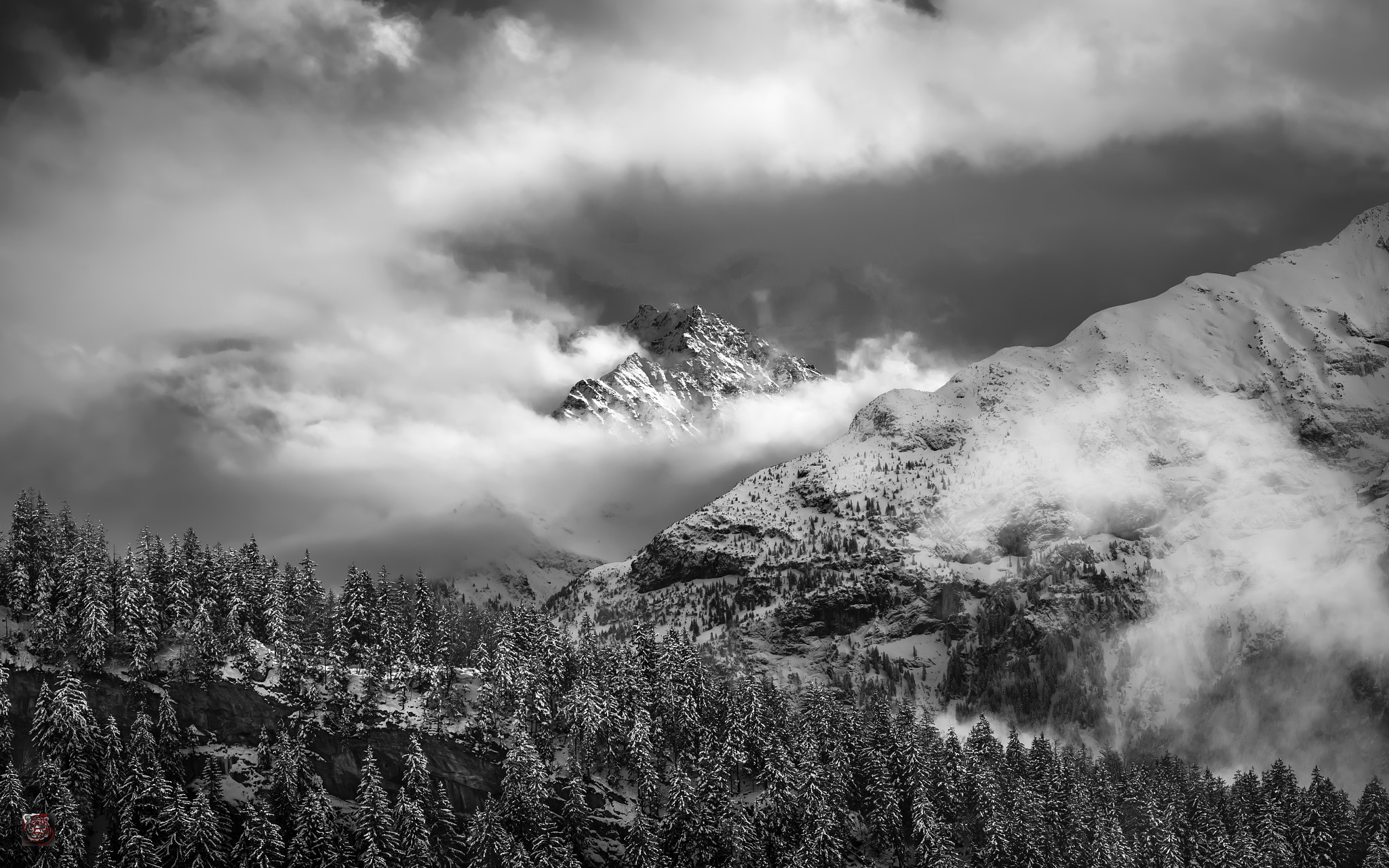 Leica APO-Summicron-M 90mm F2 ASPH sample photo. Winter: the tenderly entwined mountain photography