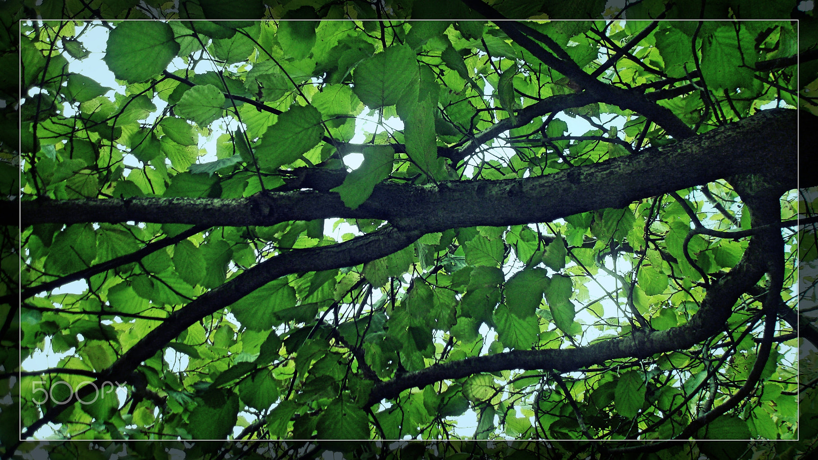 Olympus u760,S760 sample photo. Sintra 2015 photography