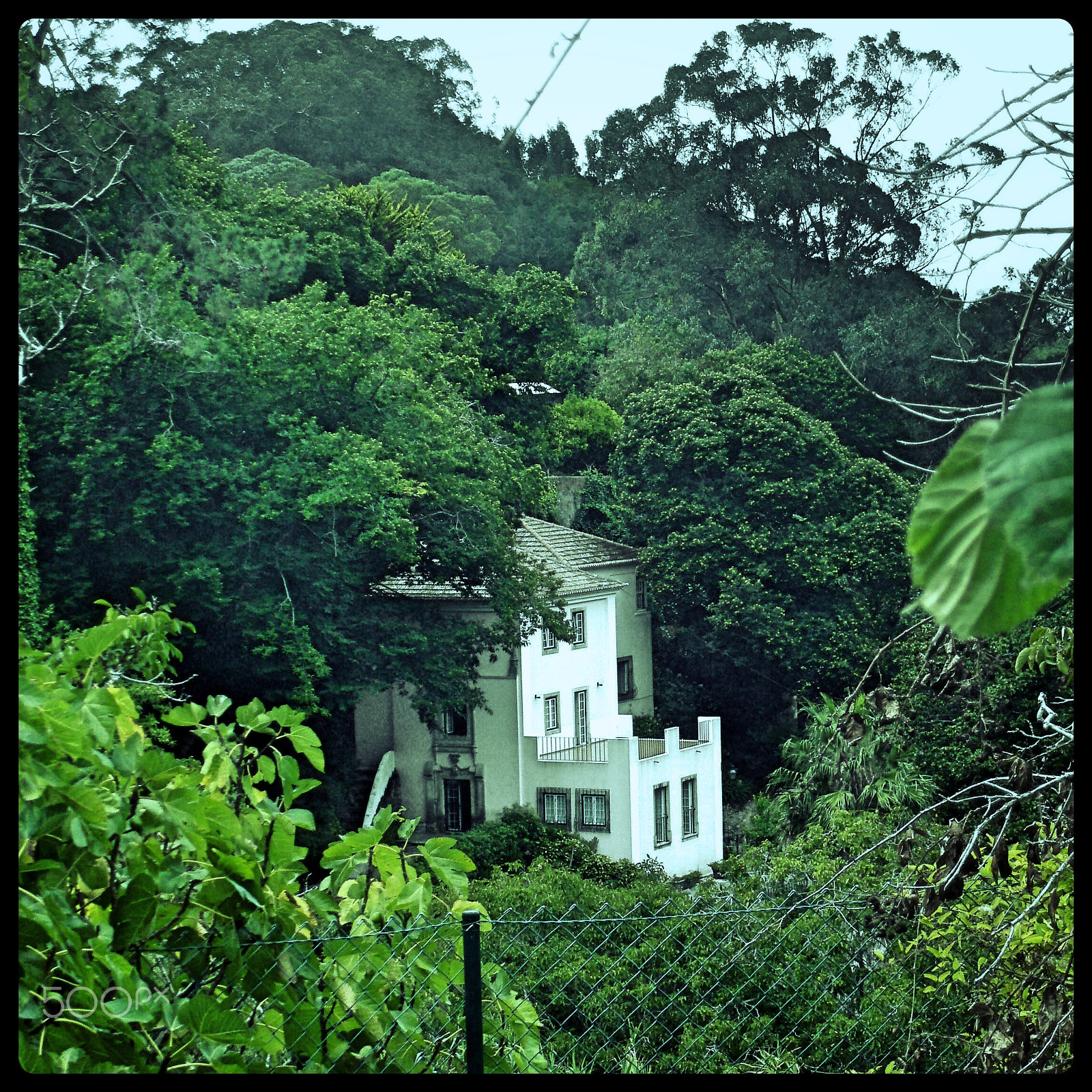 Olympus u760,S760 sample photo. Sintra 2015 photography