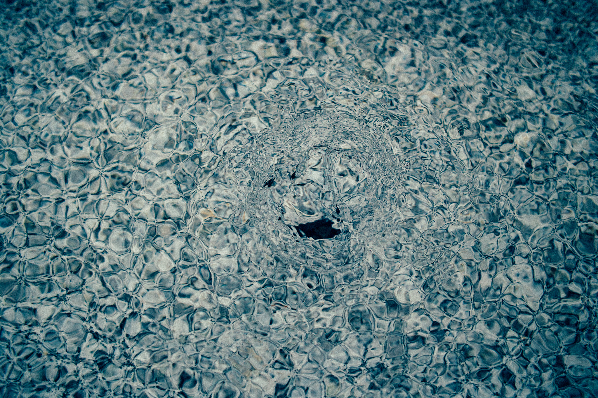 Sigma DP2s sample photo. Cell photography