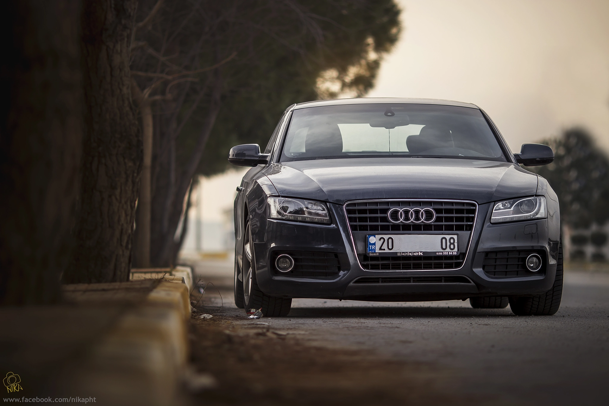 Canon EOS 600D (Rebel EOS T3i / EOS Kiss X5) + Canon EF 135mm F2L USM sample photo. Audİ oooo photography