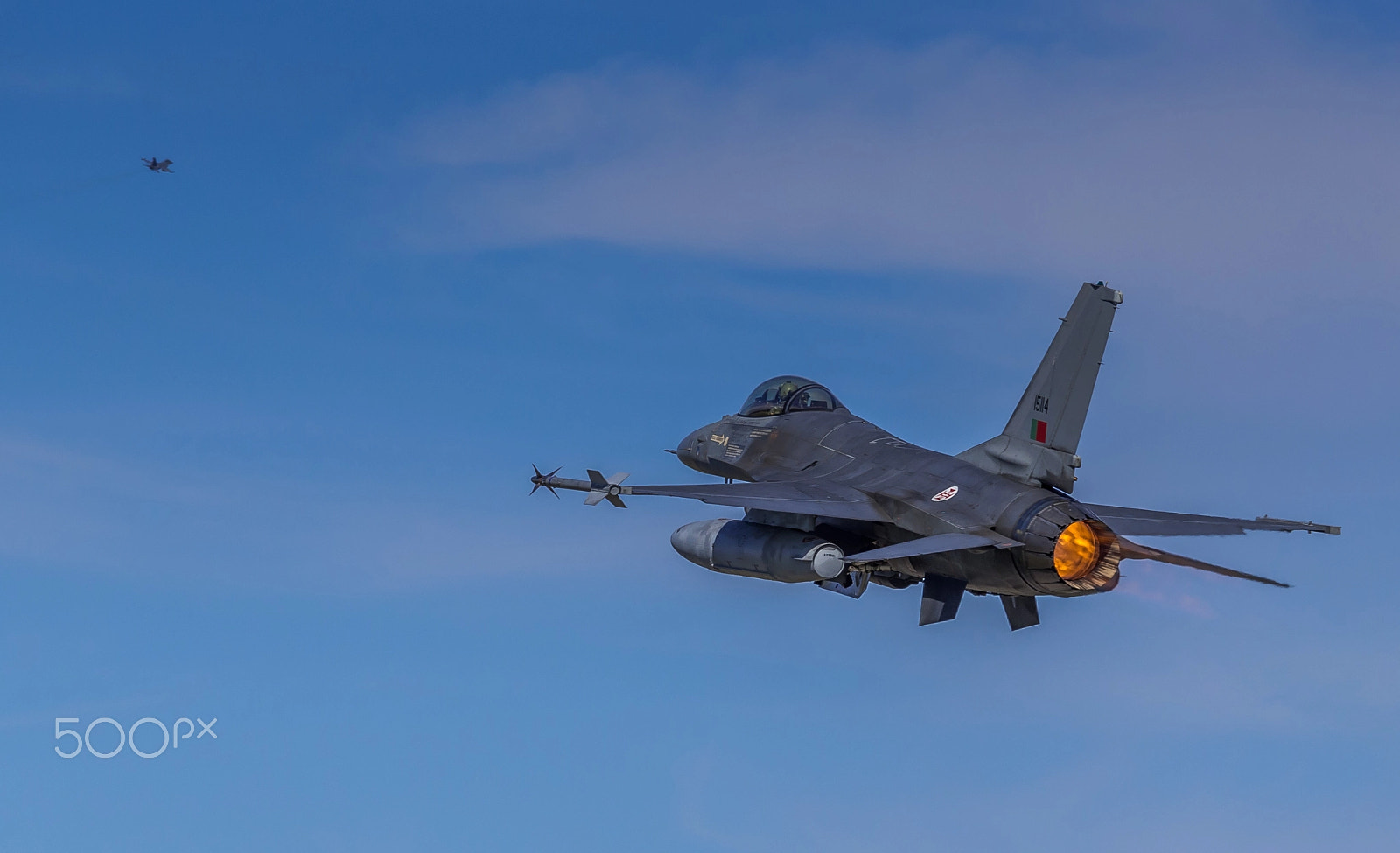 Sigma 120-400mm F4.5-5.6 DG OS HSM sample photo. Poaf f-16 mlu ii photography