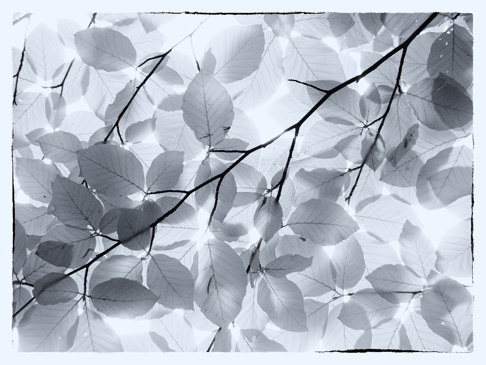 Olympus PEN E-PM2 sample photo. Eternity photography