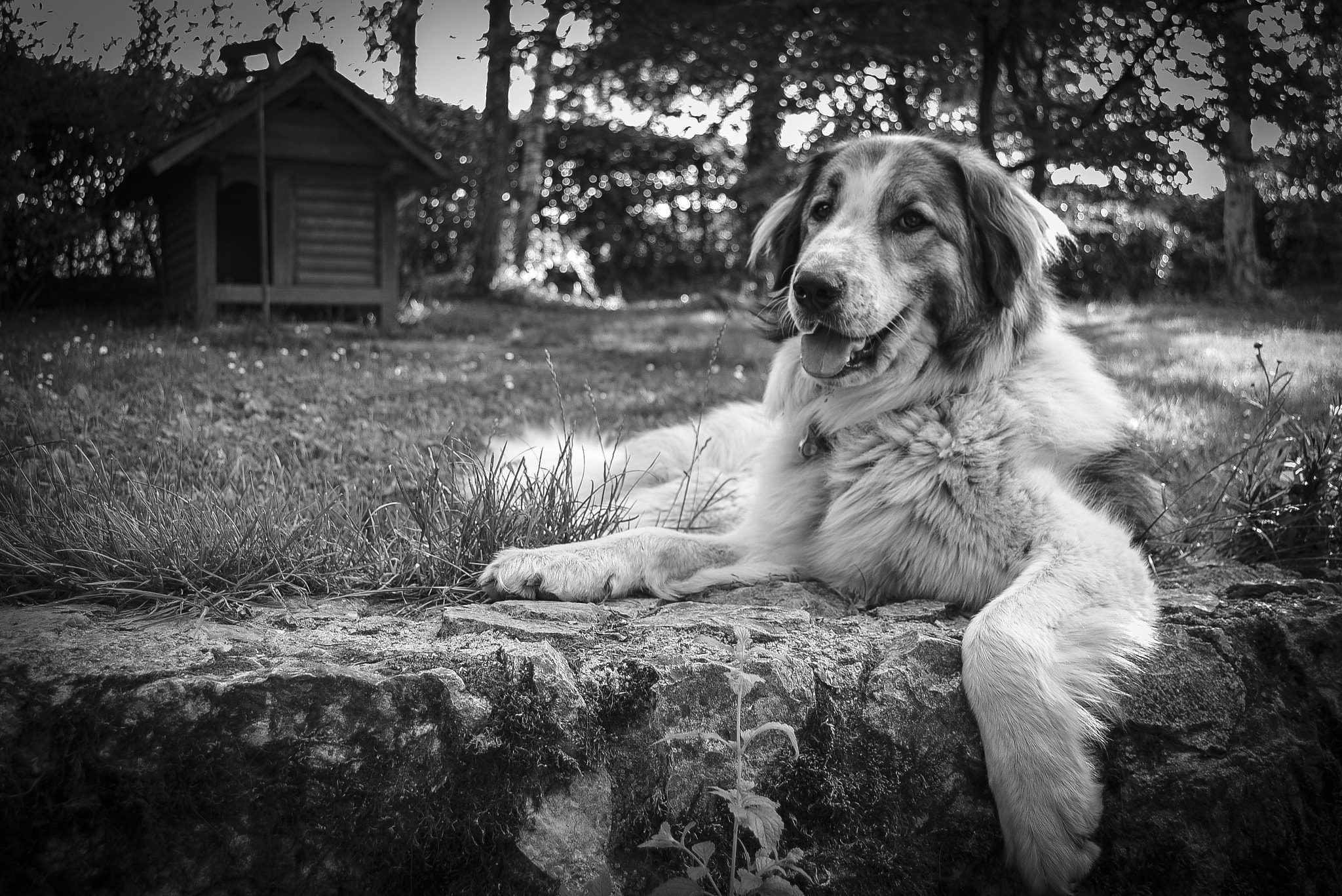 Nikon D600 sample photo. Relaxing photography