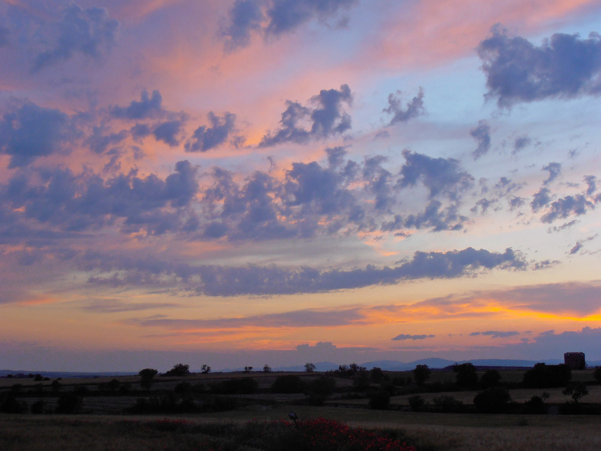Olympus VR320,D725 sample photo. Spring sunset photography