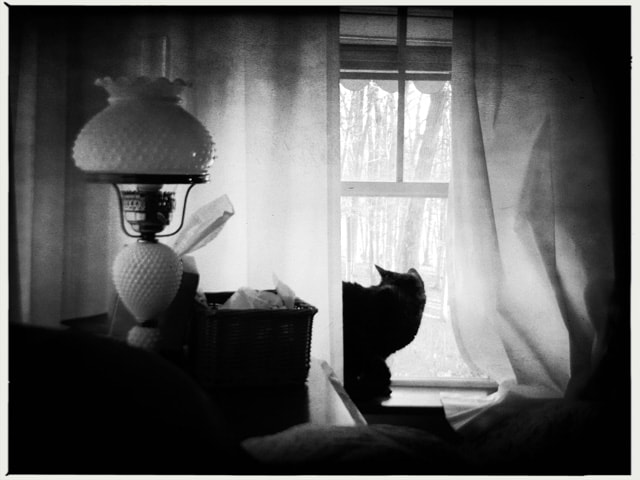 Hipstamatic 305 sample photo. 201512_0323-2.jpg photography
