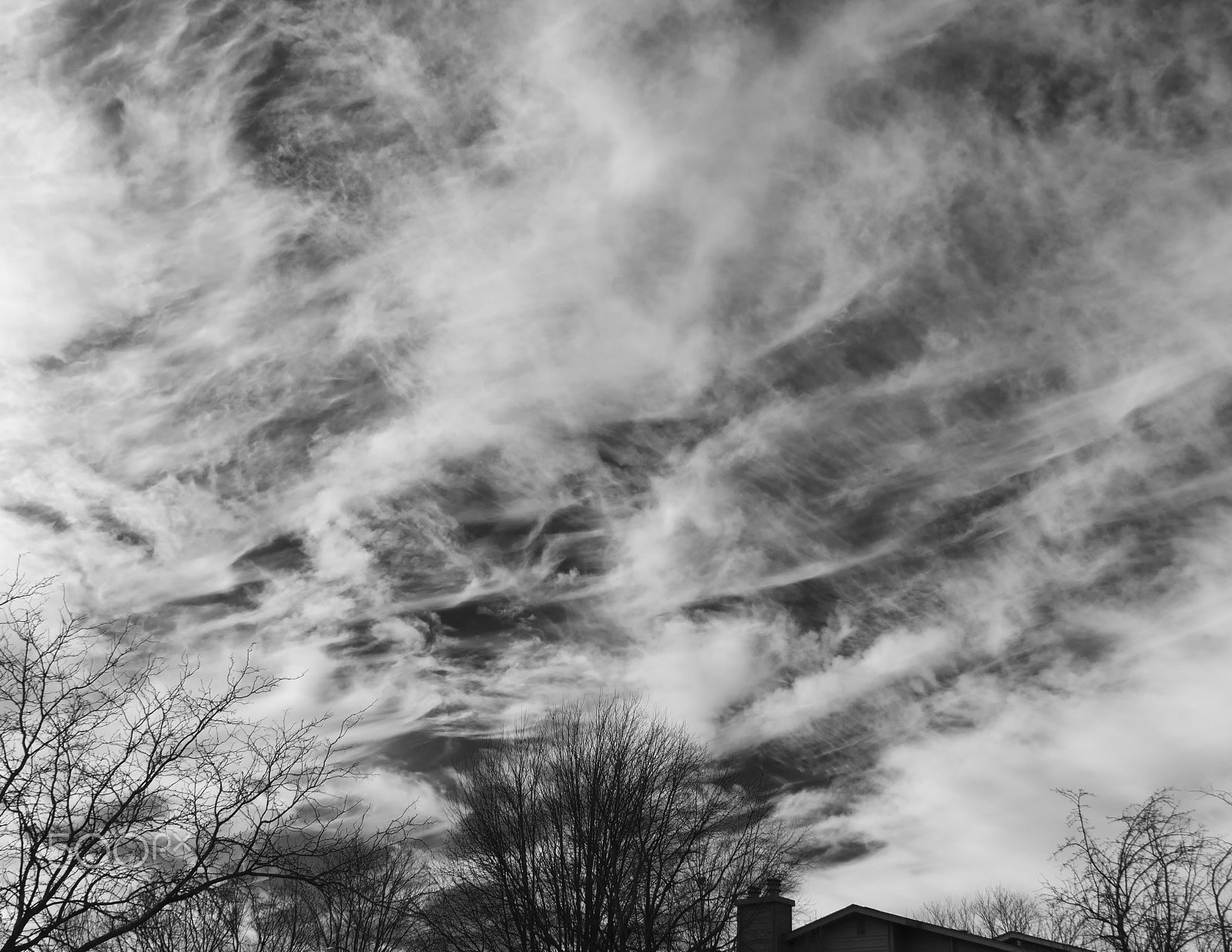 Canon EOS 760D (EOS Rebel T6s / EOS 8000D) + Canon EF 500mm F4L IS USM sample photo. Wintry skies in january photography