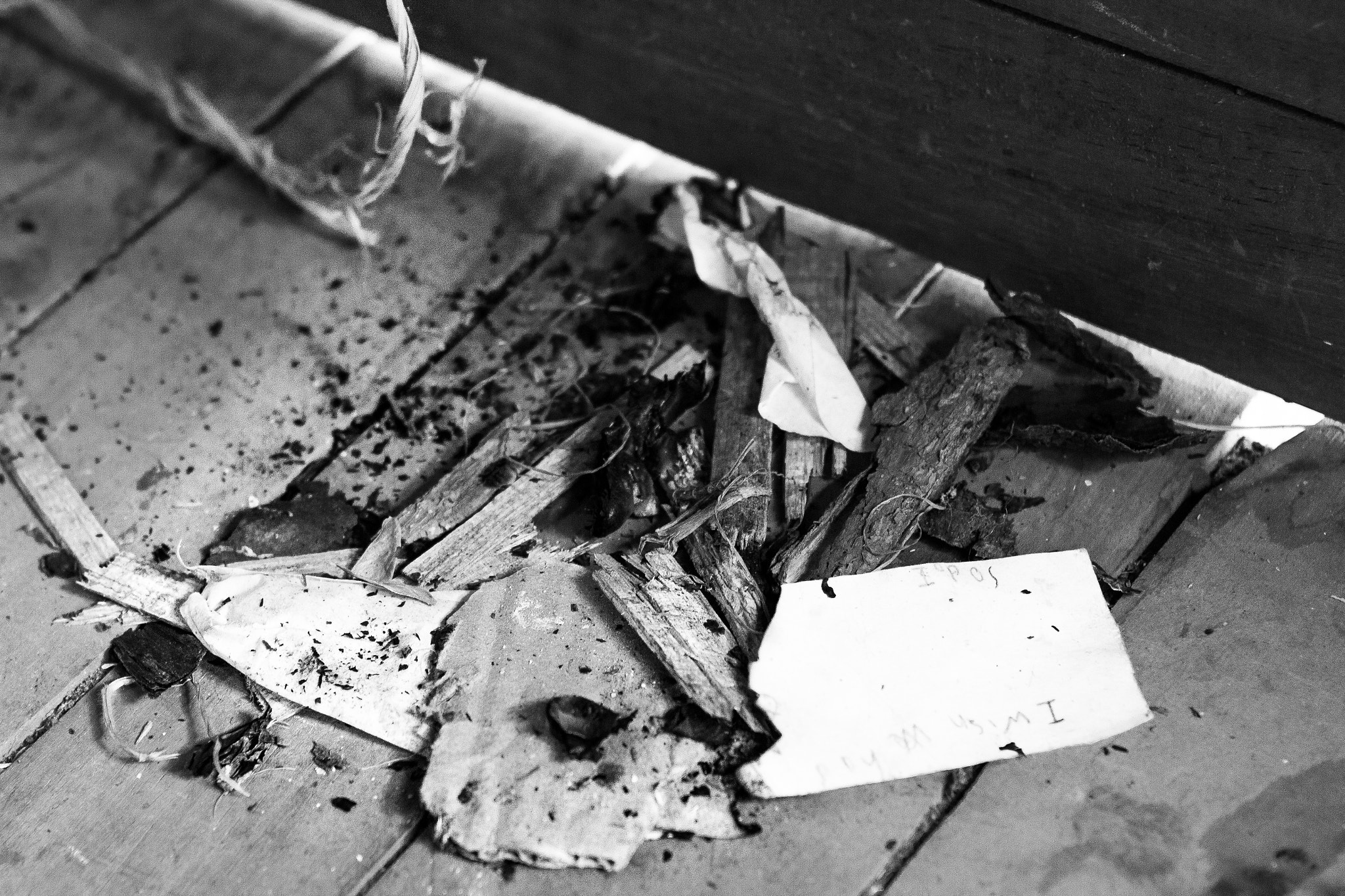 Canon EF 24-70mm F2.8L USM sample photo. Aftermath photography