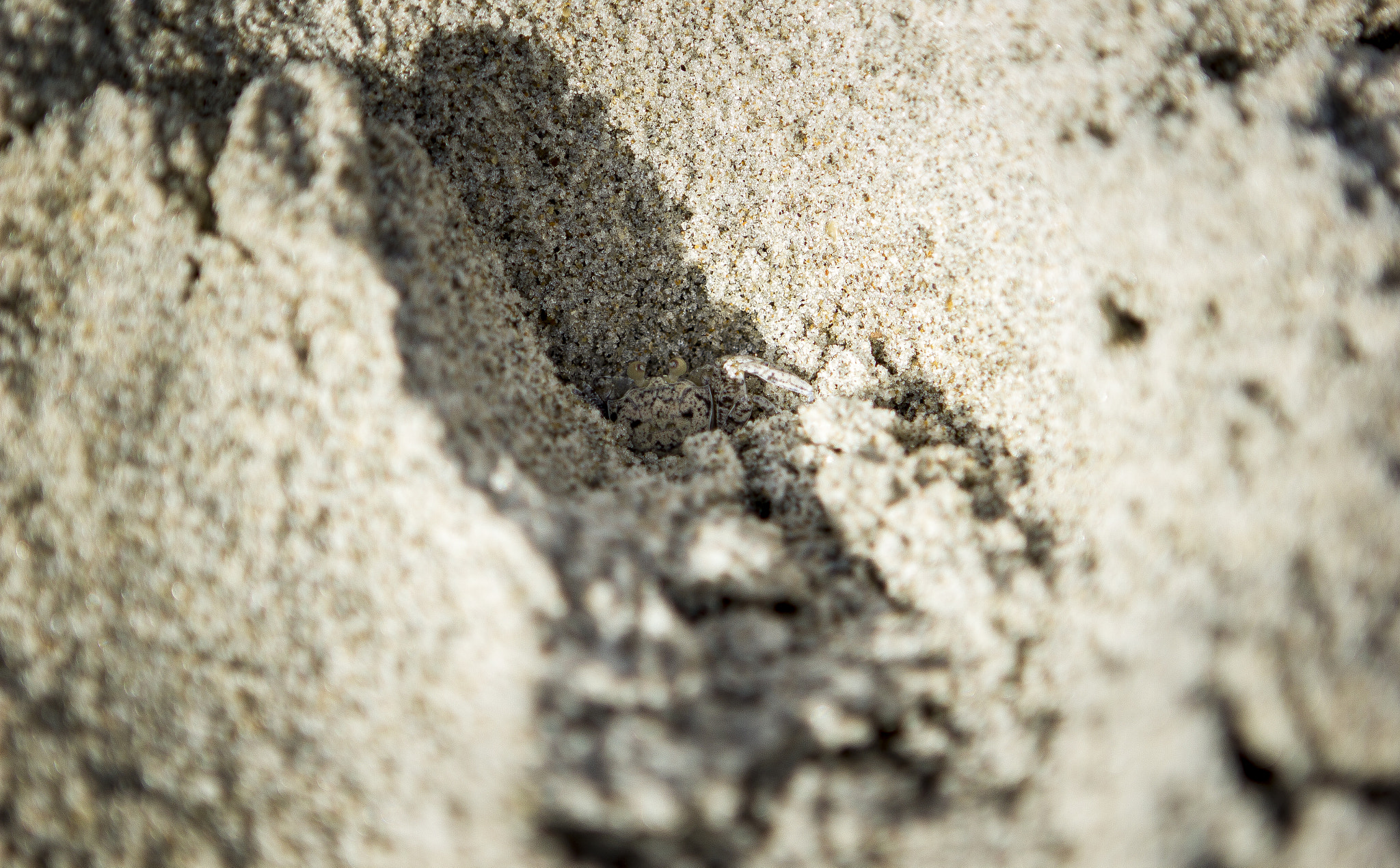 Canon EF 24-70mm F2.8L USM sample photo. Shy photography