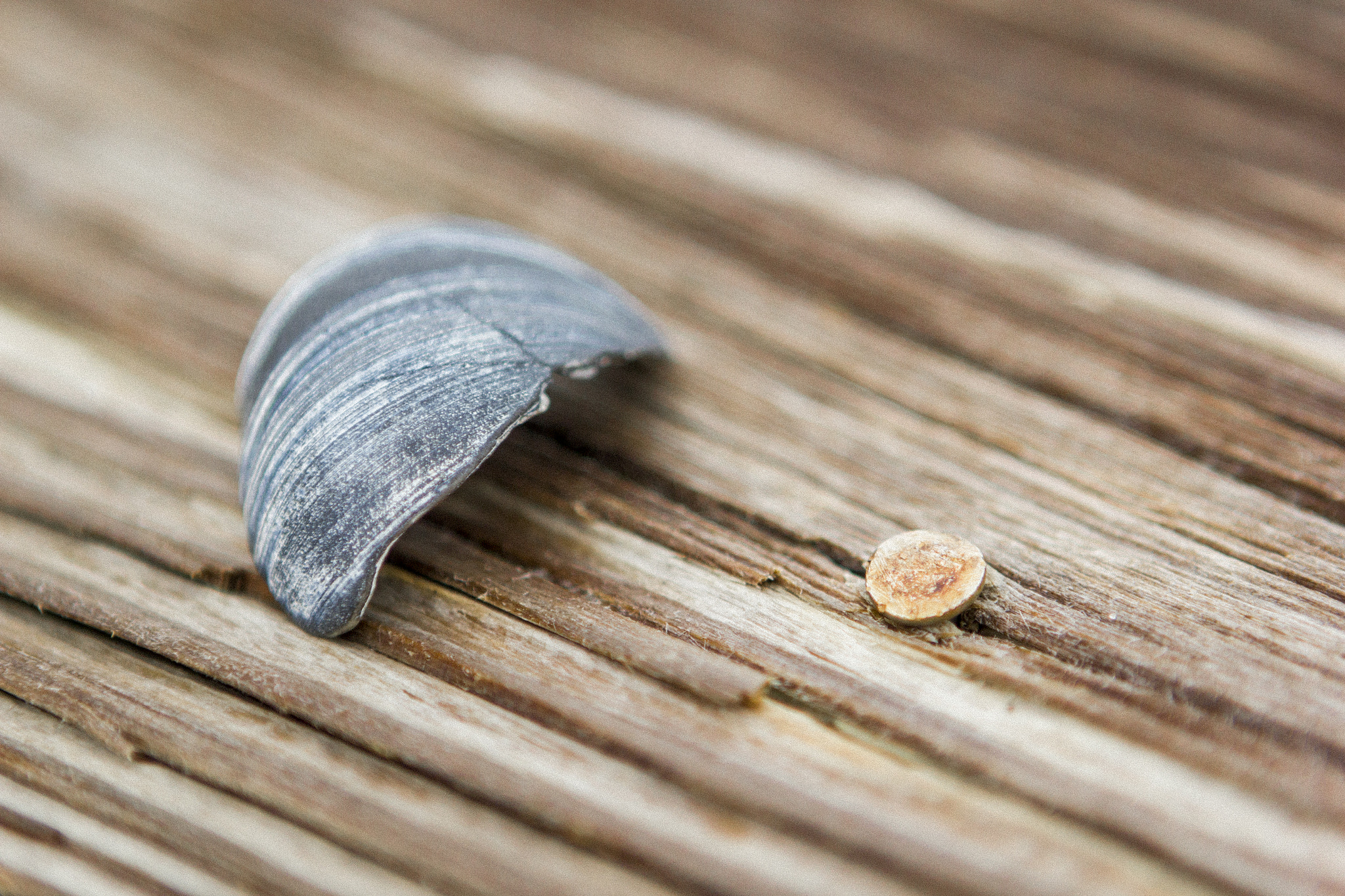 Canon EF 24-70mm F2.8L USM sample photo. Palette photography