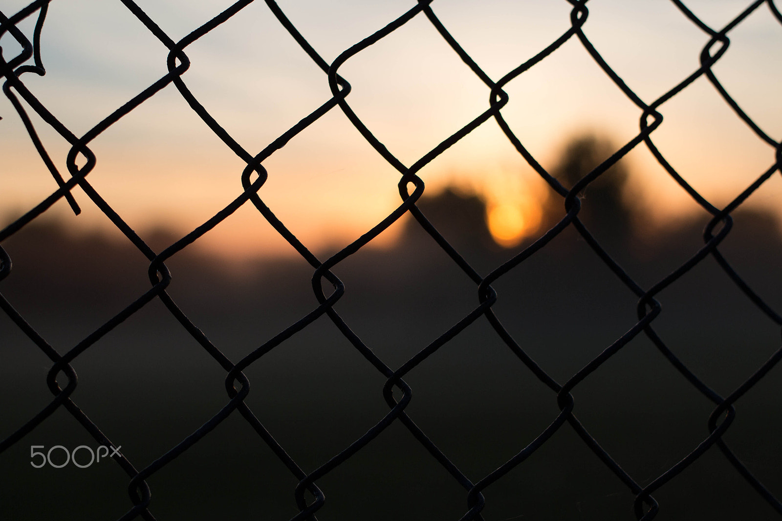 Canon EF 40mm F2.8 STM sample photo. Chain-link sunrise photography