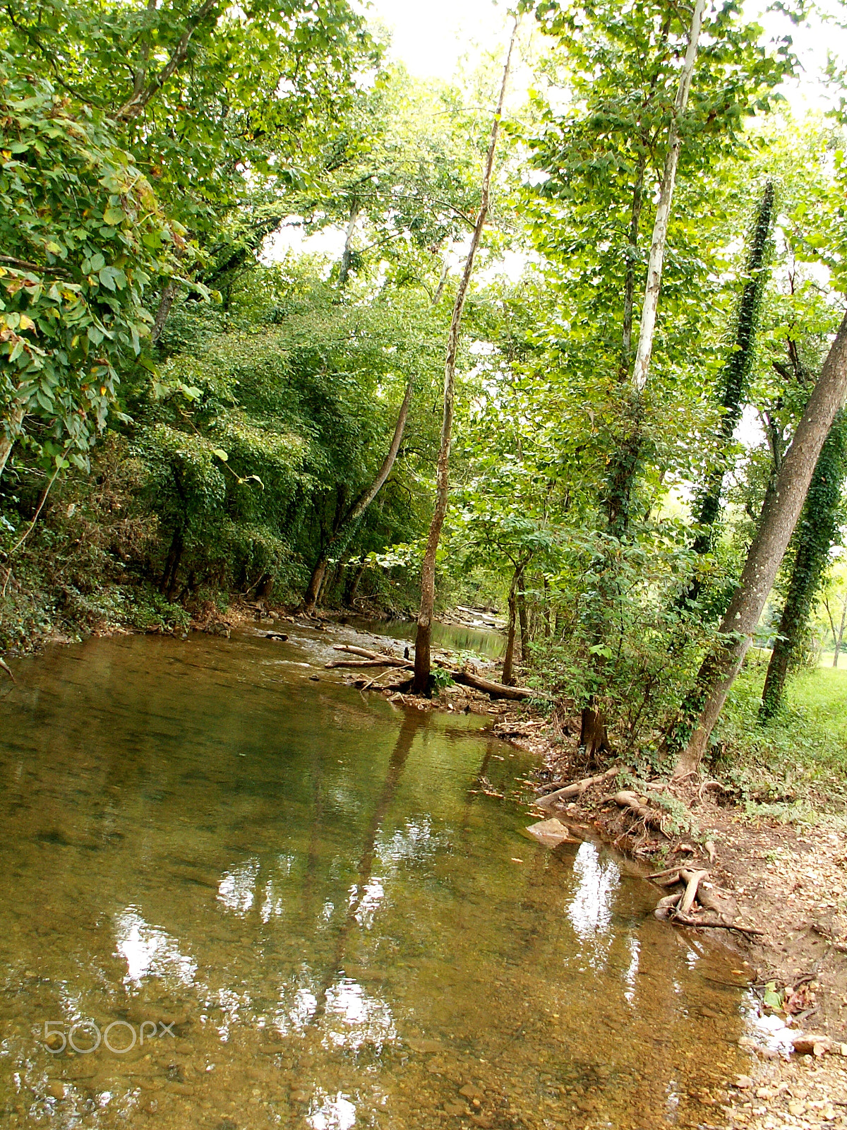 KONICA MINOLTA DiMAGE Z3 sample photo. Branson, missouri photography