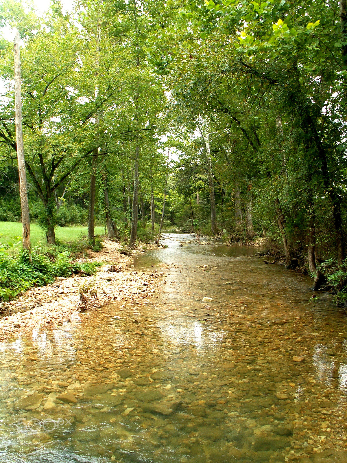 KONICA MINOLTA DiMAGE Z3 sample photo. Branson, missouri photography