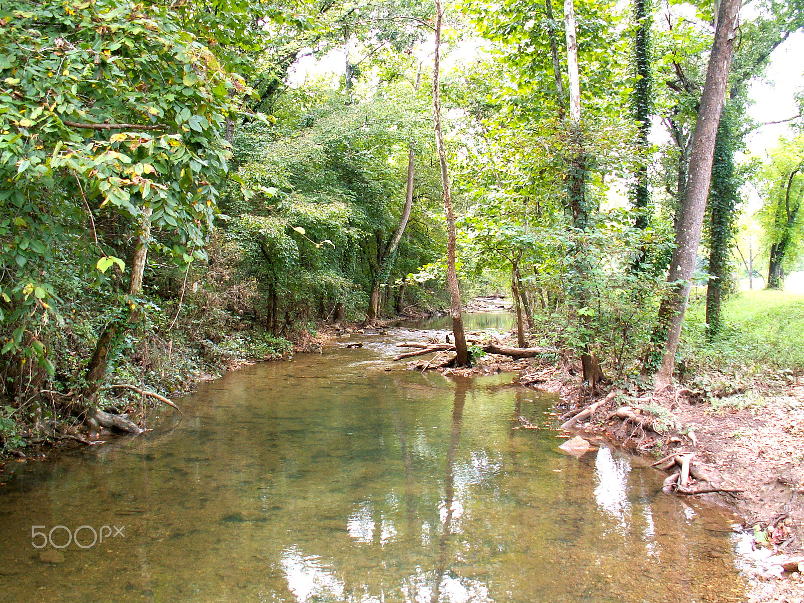 KONICA MINOLTA DiMAGE Z3 sample photo. Branson, missouri photography