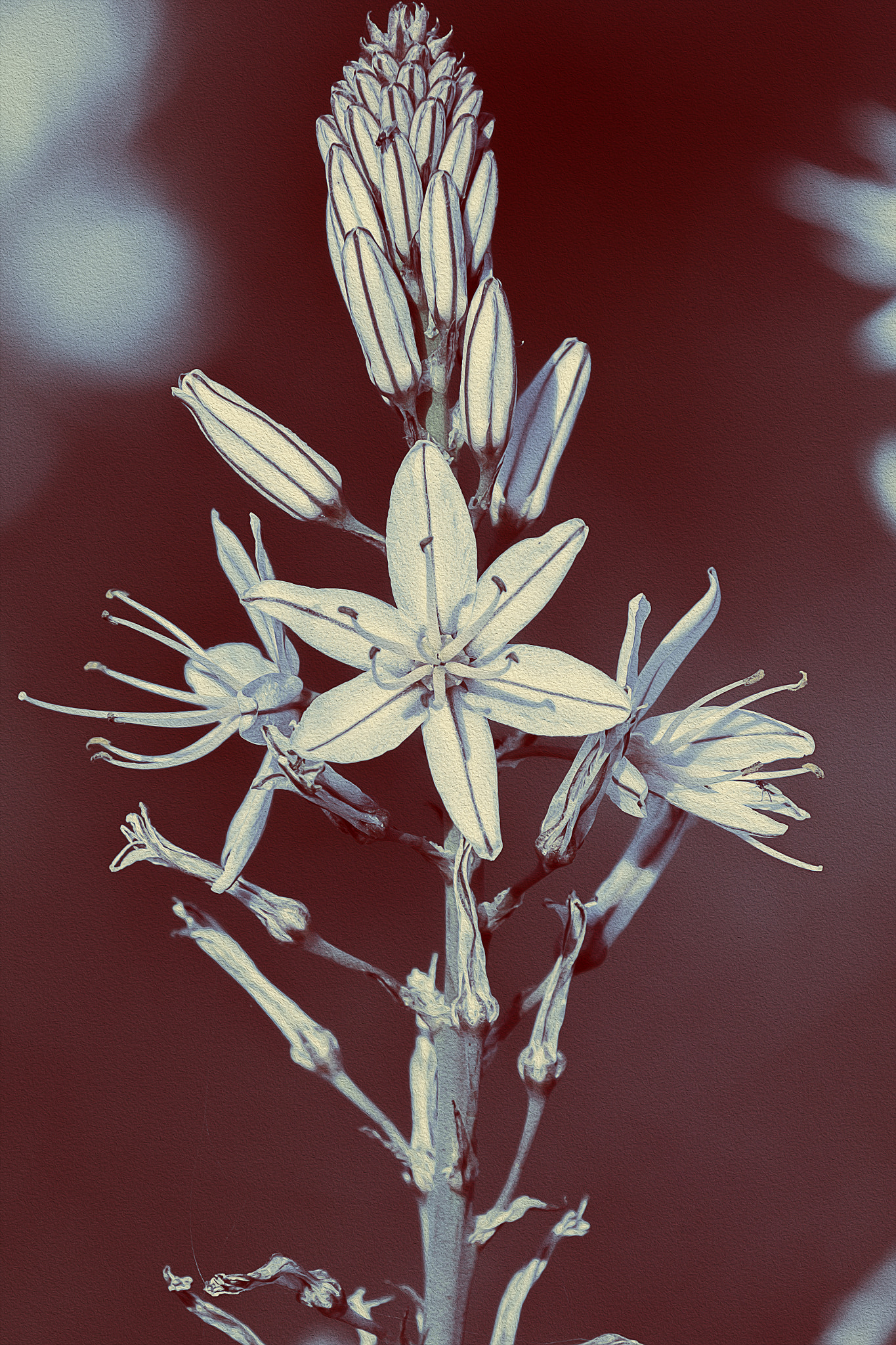 Canon EF 70-200mm F2.8L IS II USM sample photo. Dehesas y marismas photography
