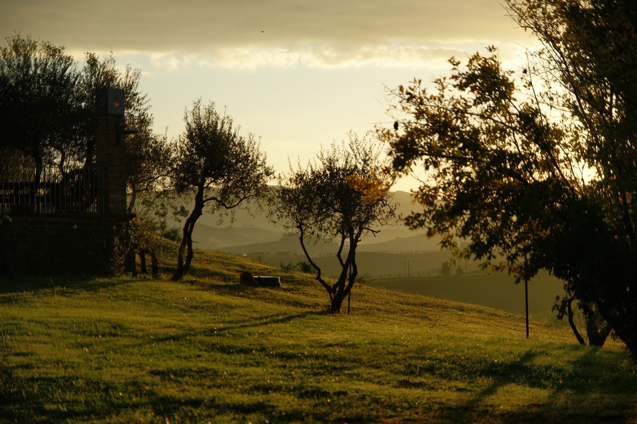 Sony Alpha DSLR-A390 sample photo. Toscana licht..... photography