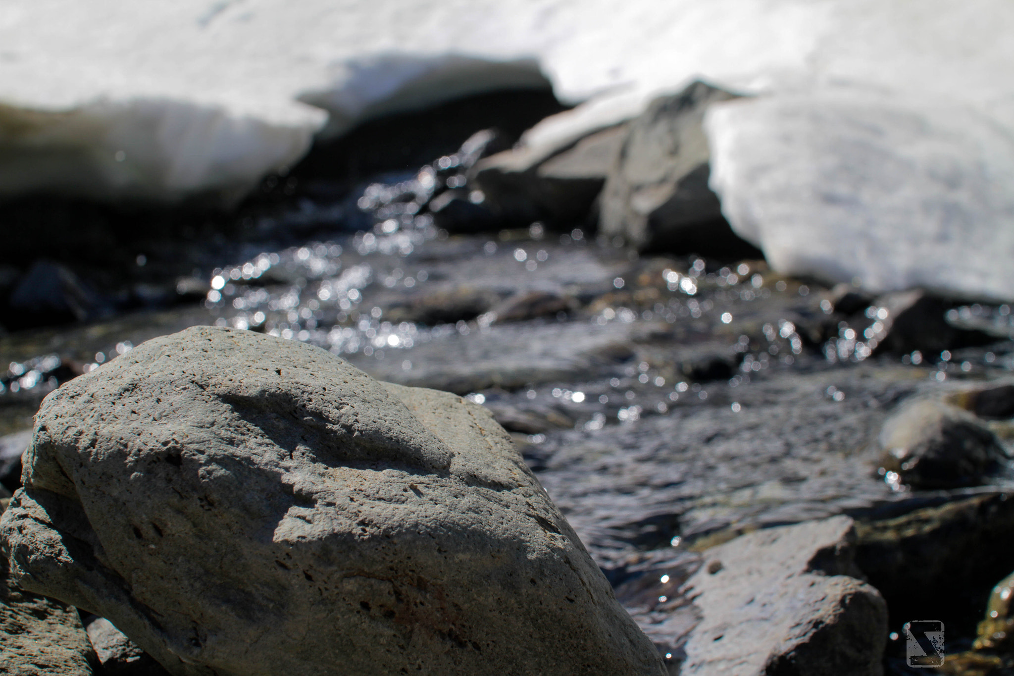 Canon EOS 7D + Sigma 30mm f/1.4 DC HSM sample photo