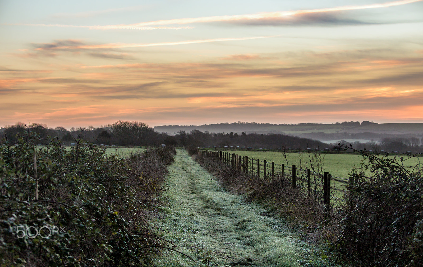 Canon EF 35-350mm F3.5-5.6L USM sample photo. A peaceful pathway photography
