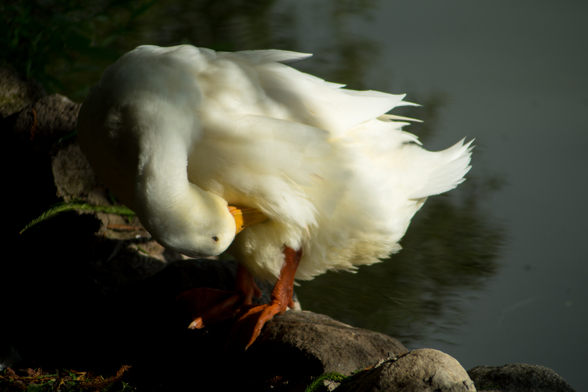 Nikon D5500 + AF Nikkor 70-210mm f/4-5.6 sample photo. Infinity photography