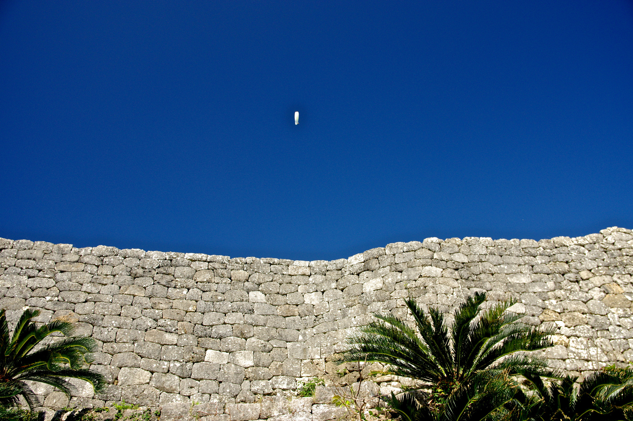 Sigma 17-70mm F2.8-4 DC Macro HSM Contemporary sample photo. Paraglider photography