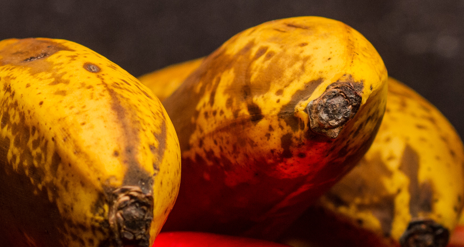 Canon EOS 7D + Canon EF 100mm F2.8 Macro USM sample photo. Light painting with fruit photography