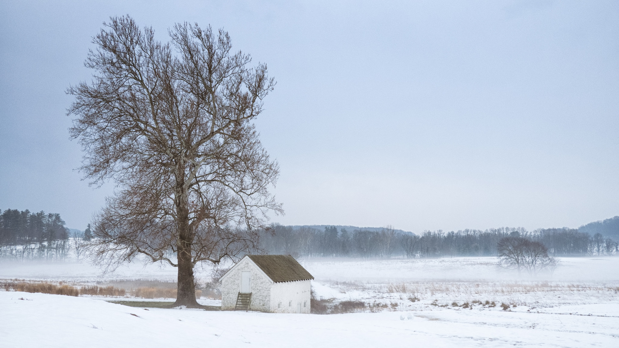 Olympus OM-D E-M1 + LUMIX G 20/F1.7 II sample photo. Winter solitude photography